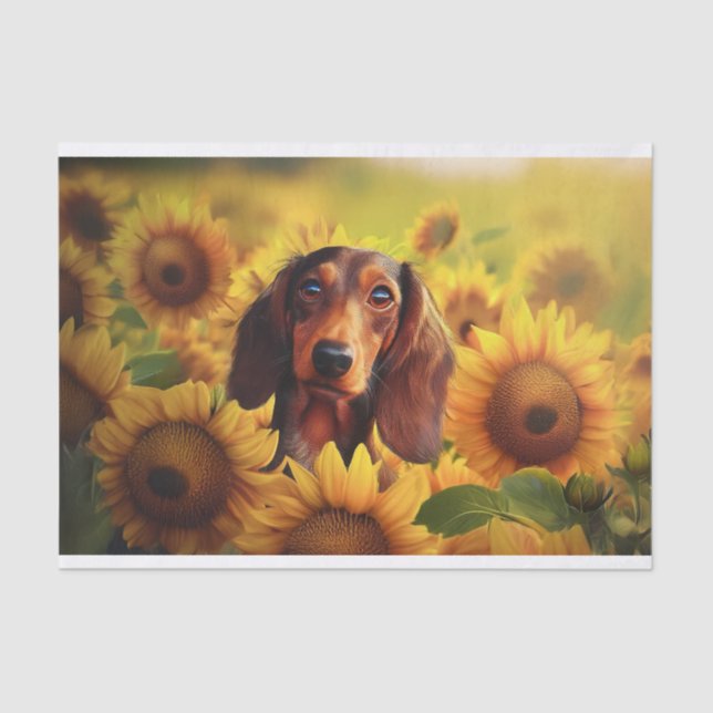 Papier Mousseline Sunflower Love, Brown Long Haired Dachshund (Recto)