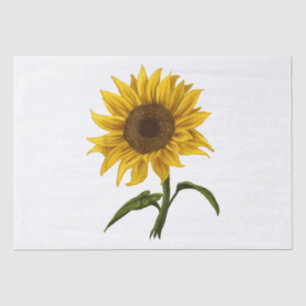 Papier Mousseline Sunflower Sunshine Floral Aquarelle Fleur