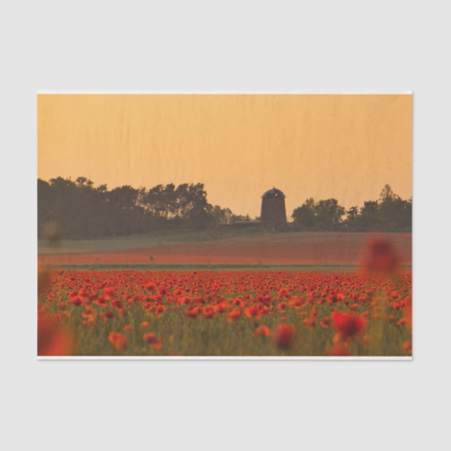 Papier Mousseline Sunset Bathing a Red Poppy Farm (Recto)