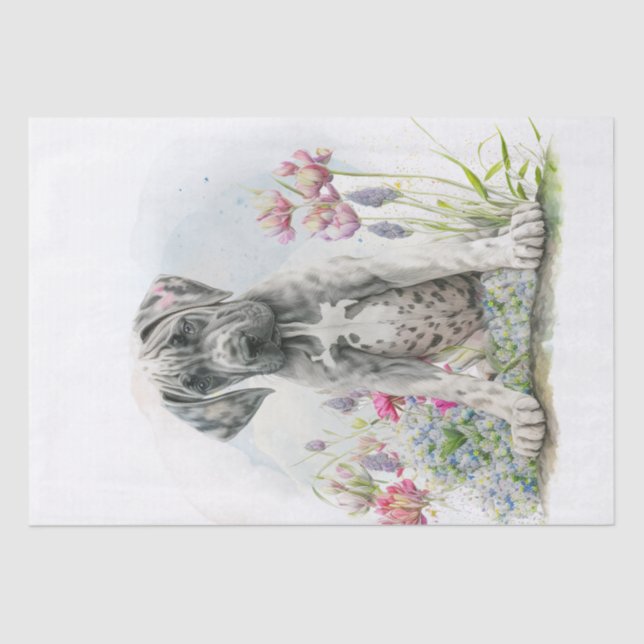 Papier Mousseline Super Chien Chien Chien De Chien De Chien (Recto)