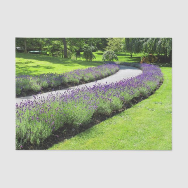 Papier Mousseline Superbe Promenade Jardin Lavande Paysage (Recto)