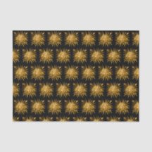 Symbole de Louis XIV le Roi Soleil