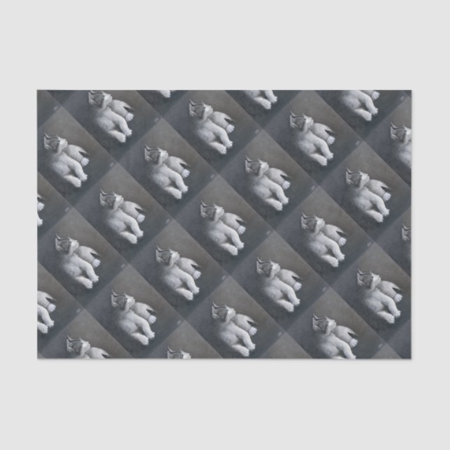 Papier Mousseline Tabby Kitten (Recto)