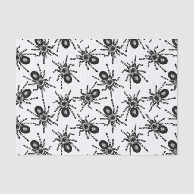 Papier Mousseline Tarantula (Recto)
