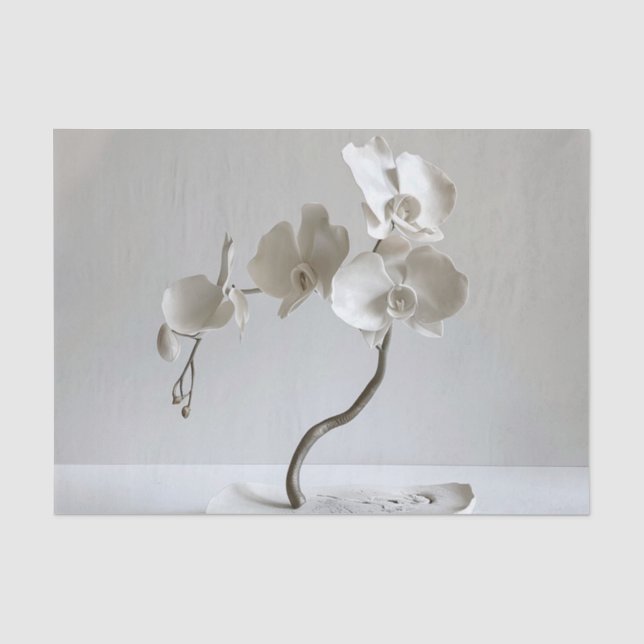 Papier Mousseline Taupe orchidée neutre en céramique (Recto)