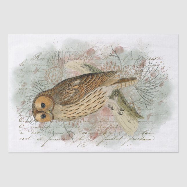 Papier Mousseline Tawny Owl Bird Pinecone French Script Decoupage (Recto)
