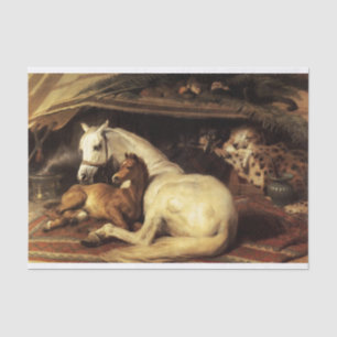 PAPIER MOUSSELINE TENTE ARABE AVEC CHEVAUX, AUTRES ANIMAUX