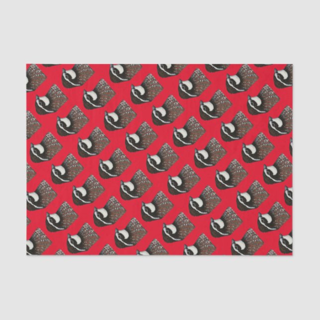 Papier Mousseline Tête de Queue Bobwhite (Recto)