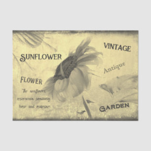 Papier Mousseline Texture d'éphémère de tournesol ton sépia vintage