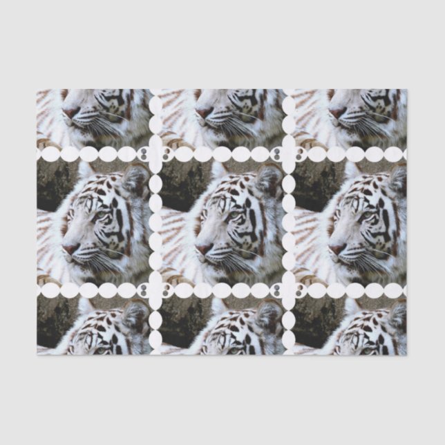 Papier Mousseline Tigre blanc mignon (Recto)