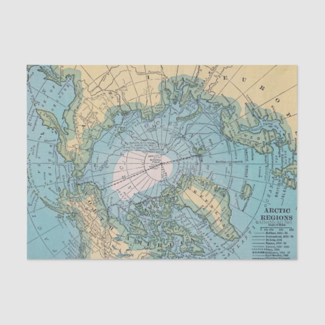 Papier Mousseline Tissu arctique (Recto)