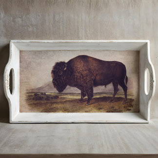 Papier Mousseline Tissu de Buffalo vintage ou papier de découpage