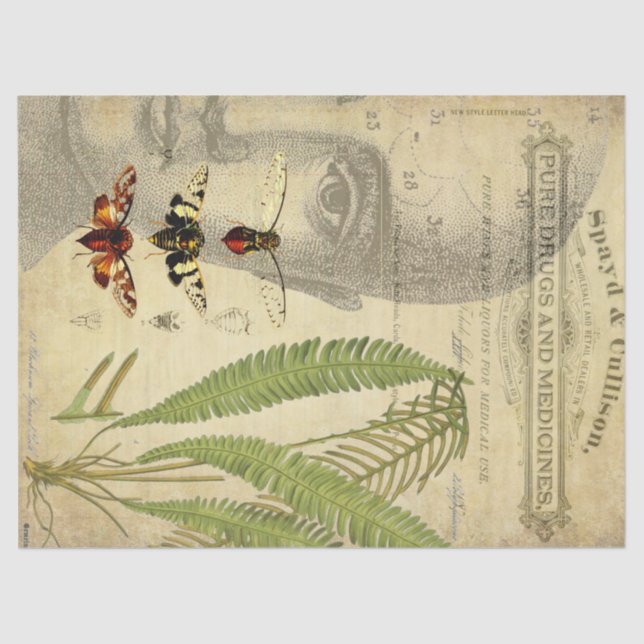 Papier Mousseline Tissu de Decoupage d'apothicaire (Recto)