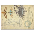 Tissu de Decoupage d'apothicaire