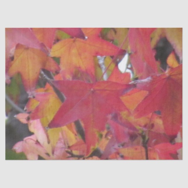 Papier Mousseline Tissue Paper - Autumn Leaves (Recto)
