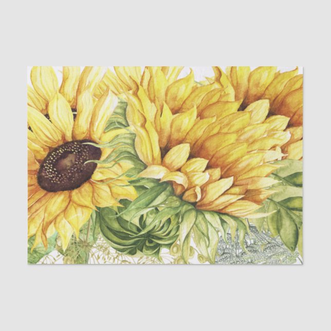 Papier Mousseline Tissus de tournesol pour enveloppement de cadeaux (Recto)