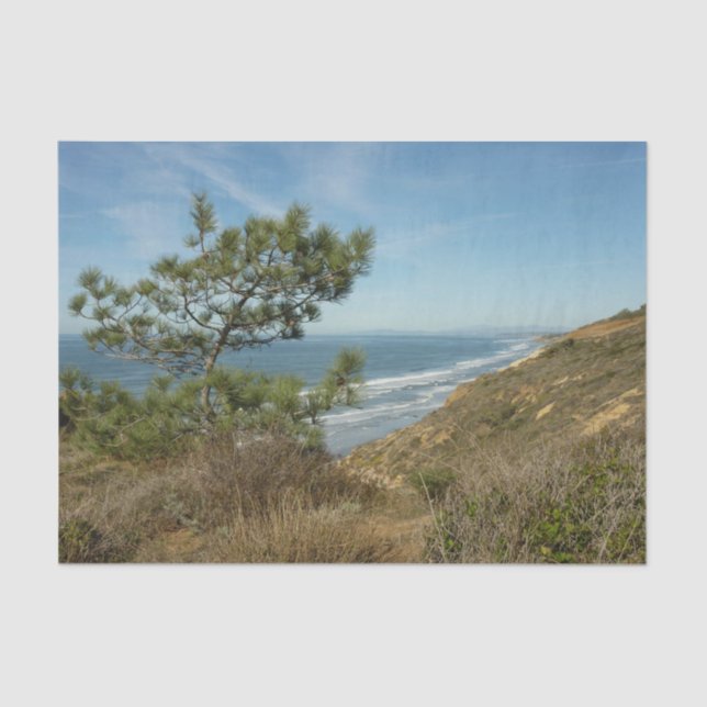 Papier Mousseline Torrey Pine and California Coastline Landscape (Recto)