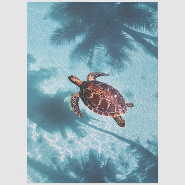 Papier Mousseline Tortue de mer dans des eaux tropicales découpage (Recto)