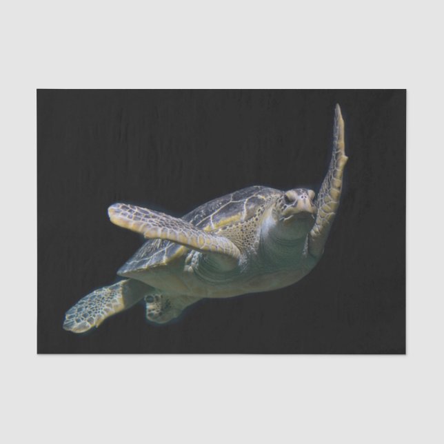 Papier Mousseline Tortue natation (Recto)