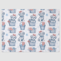 Toto, Assistant d'Oz