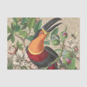 Papier Mousseline Toucan Jungle Tropical Bird Belle antique