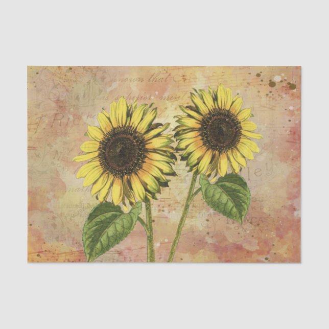 Papier Mousseline Tournesol (Recto)