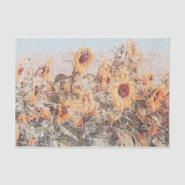 Papier Mousseline Tournesol Champ Vintage Antique Automne Texture (Recto)
