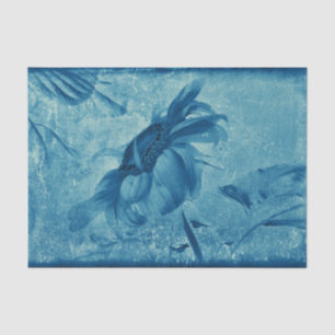 Papier Mousseline Tournesol Cyanotype Bleu Vintage Antique Grunge