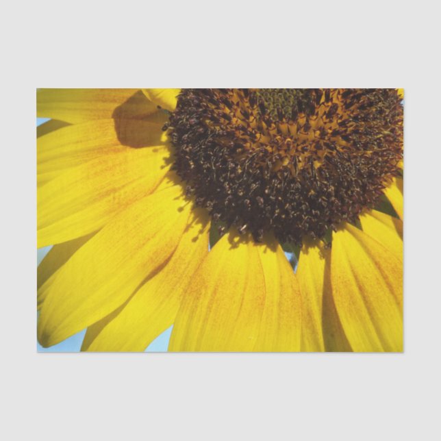 Papier Mousseline Tournesol doré (Recto)