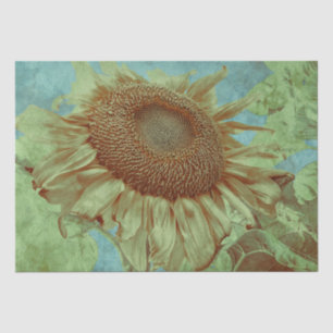 Papier Mousseline Tournesol géant Turquoise Jaune Vert Vintage Antiq