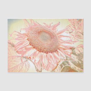 Papier Mousseline Tournesol géant Vintage Pastel Pink Art Decoupage