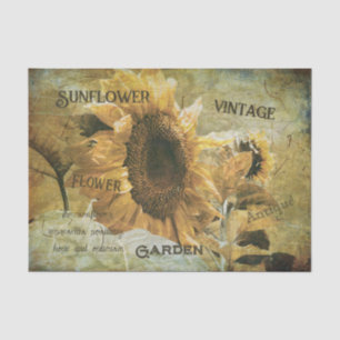 Papier Mousseline Tournesol Jaune Texture Vintage Ephémère