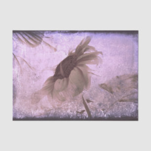 Papier Mousseline Tournesol Sépia Violet Vieilli Antique Grunge
