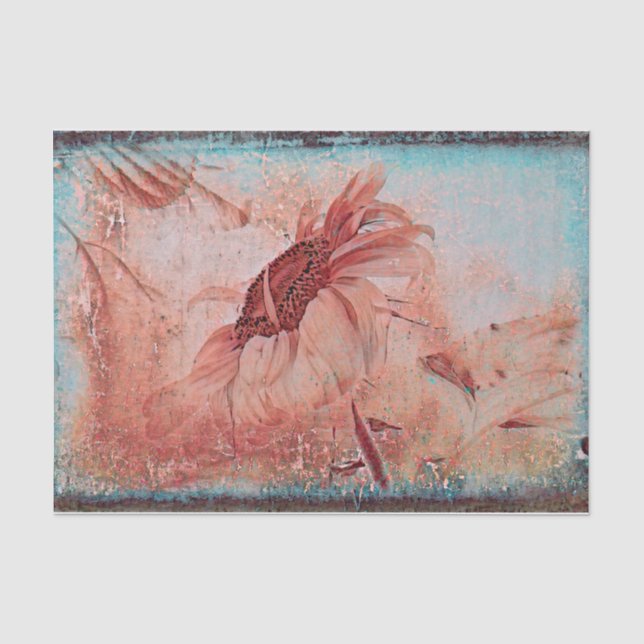 Papier Mousseline Tournesol Turquoise Brown Sepia Texture d'antiquit (Recto)