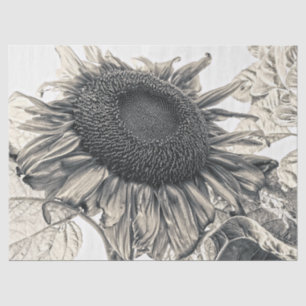 Papier Mousseline Tournesols géants Vintage Sepia Découpage Art
