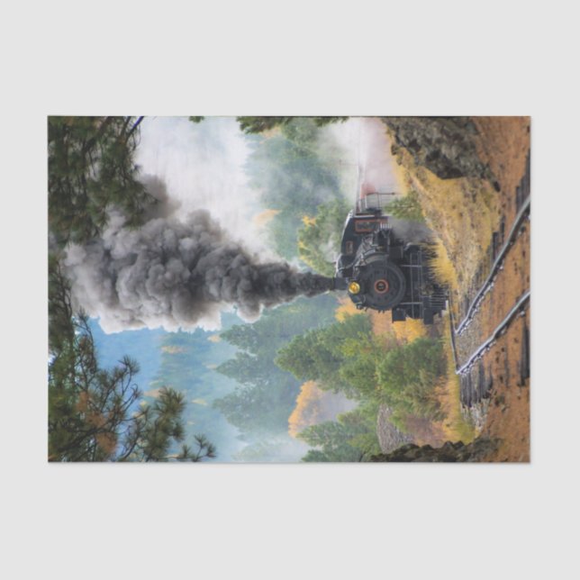 Papier Mousseline Train 19 (Recto)