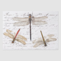 Trois dragonfly French Script Decoupage Vintage