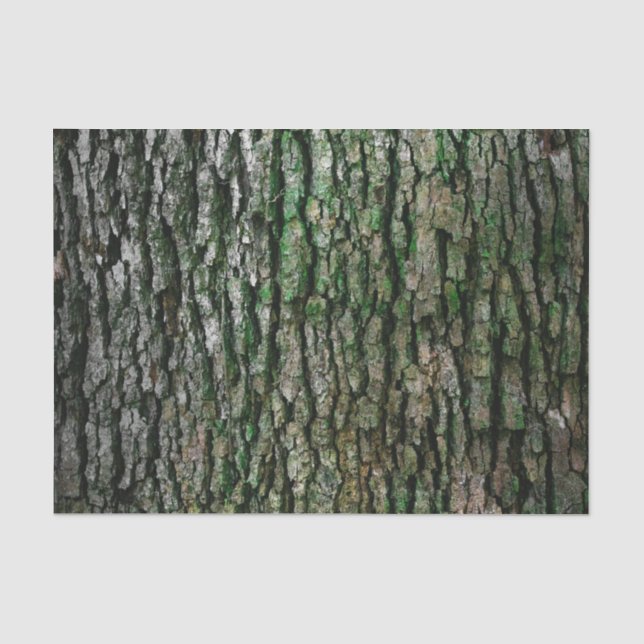 Papier Mousseline Tronc d'arbre (écorce en bois) (Recto)