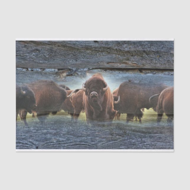 Papier Mousseline Troupeau de Buffalo (Recto)