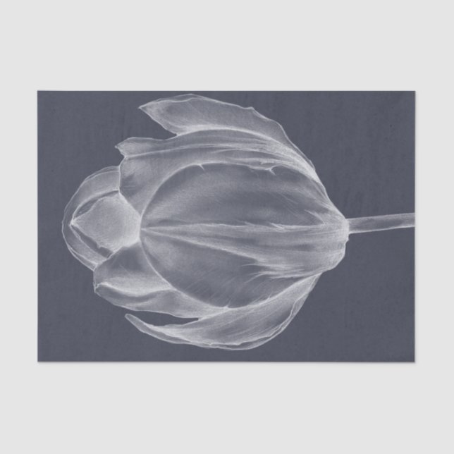 Papier Mousseline Tulipe monochrome I (Recto)