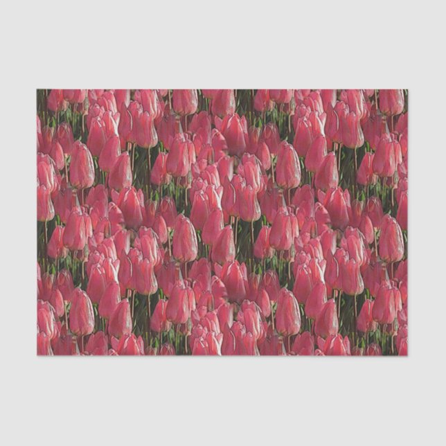 Papier Mousseline Tulipes roses florales (Recto)