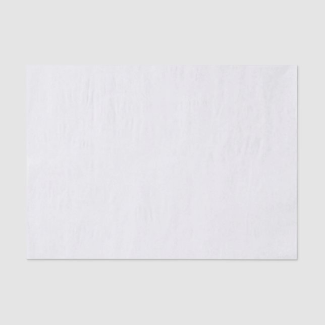 Papier Mousseline Ultra Light Gray Minimal Background (Recto)