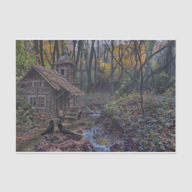 Papier Mousseline Un Cabine forestier à conte équitable en vie réell (Recto)