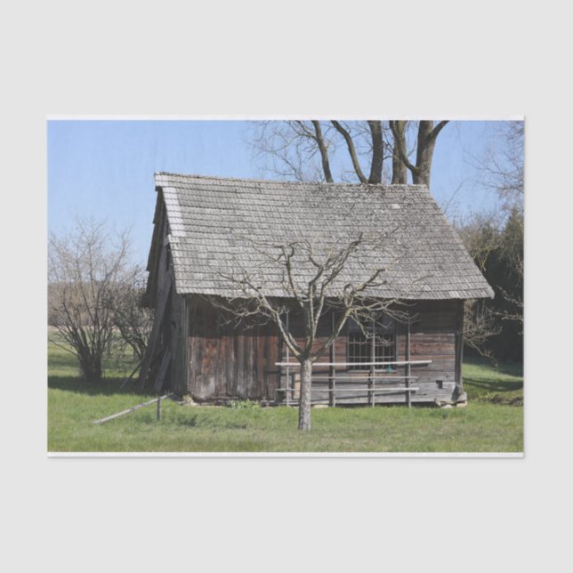 Papier Mousseline Un petit arbre mignon se tient à côté d'un Cabine  (Recto)