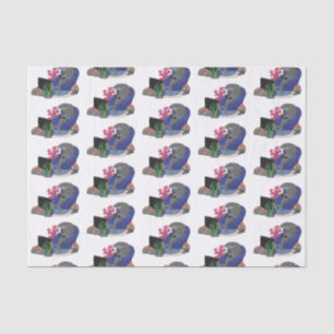 Papier Mousseline Un requin drôle en regardant la bande dessinée de 