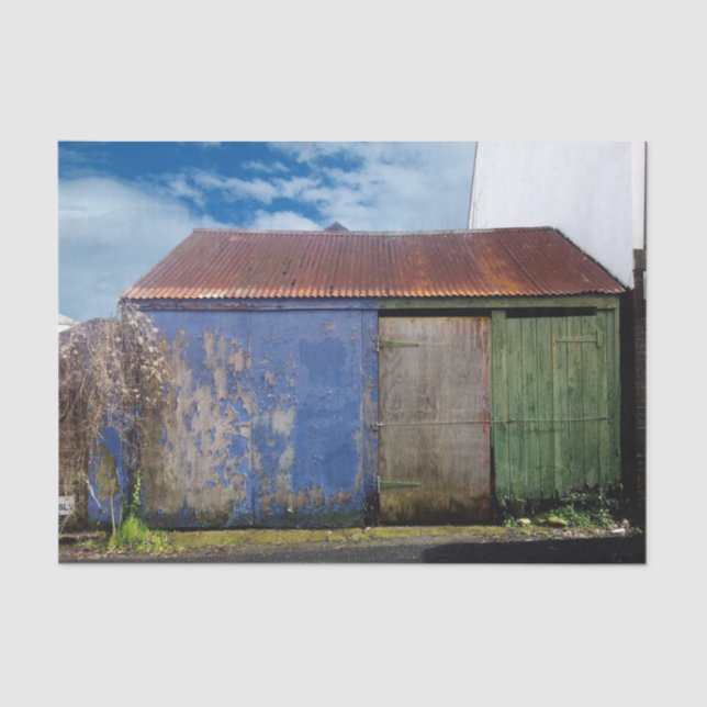 Papier Mousseline Une Bange Joyeuse Et Colorée (Recto)