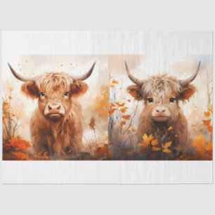 Papier Mousseline Une collection de dessins de vaches des Highlands