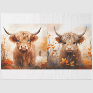 Papier Mousseline Une collection de dessins de vaches des Highlands