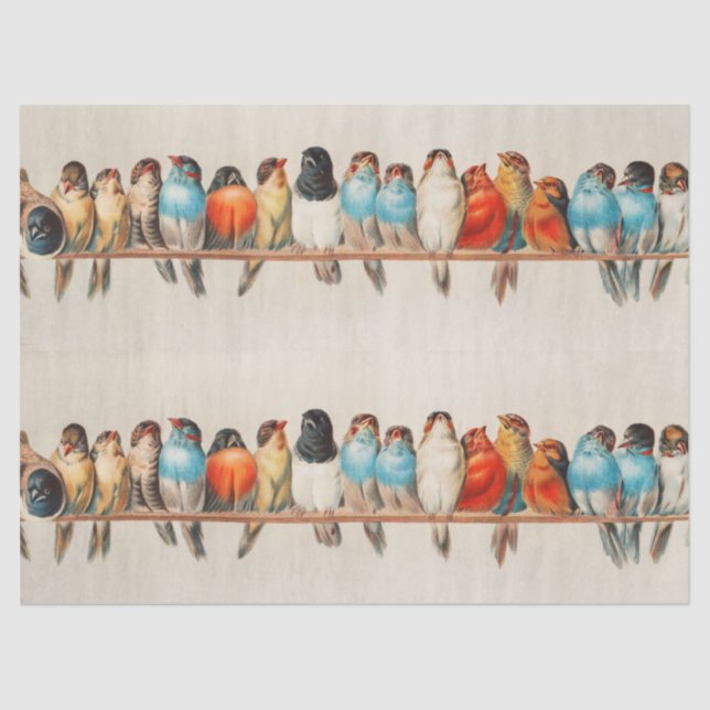 Papier Mousseline Une perche d'oiseaux, 1880 par Hector Giacomelli (Recto)