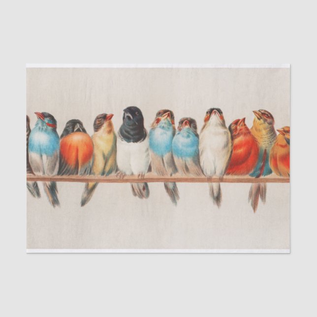 Papier Mousseline Une perche d'oiseaux par Hector Giacomelli (Recto)